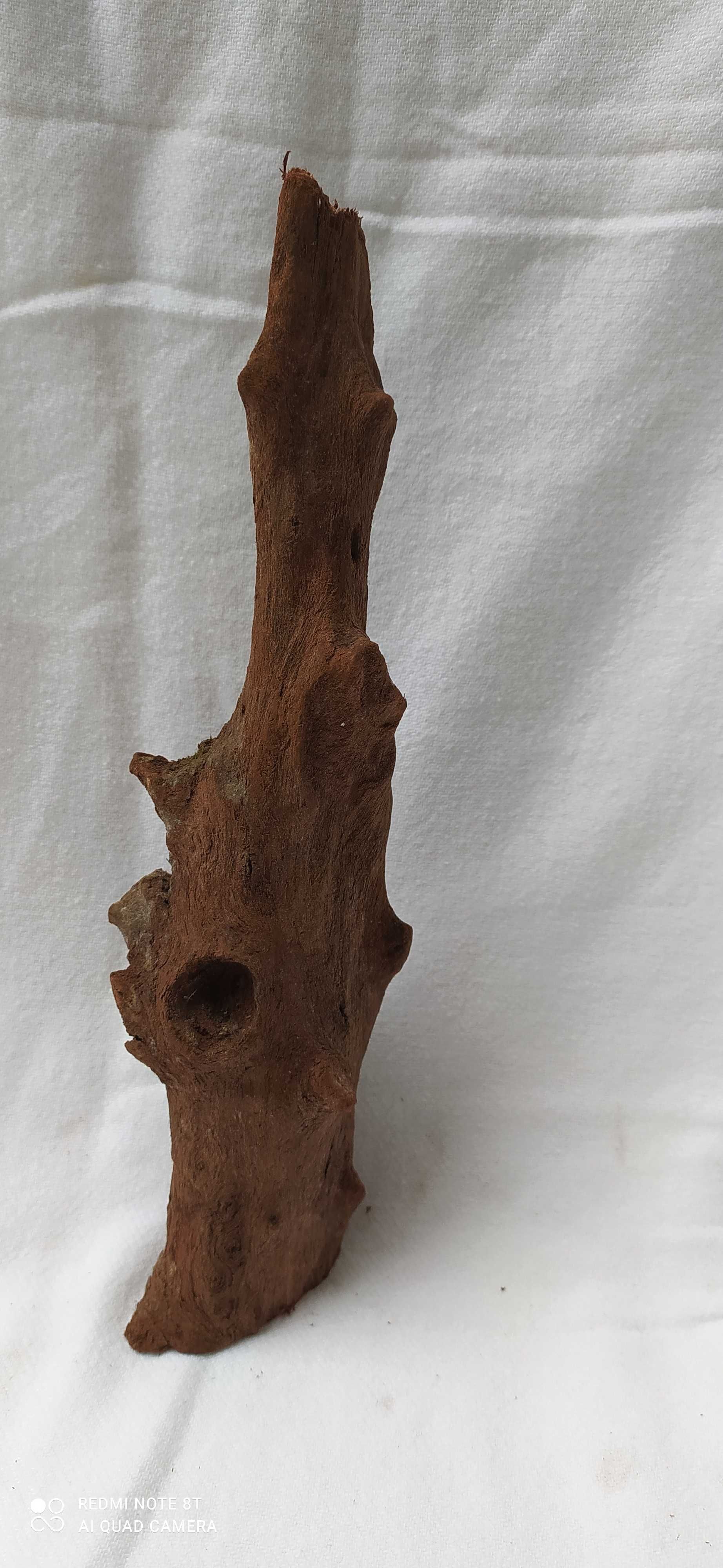 Korzeń do akwarium-24 cm