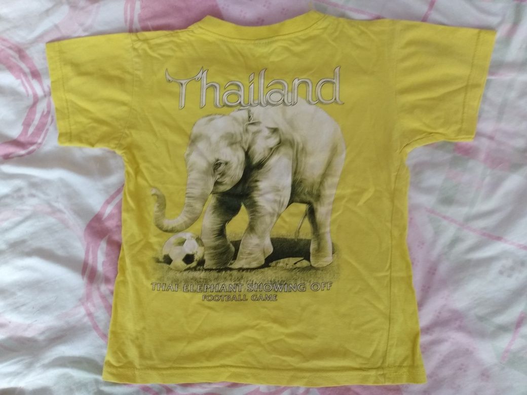 Bluzka t-shirt koszulka dla chłopca, chłopięca rozmiar 116