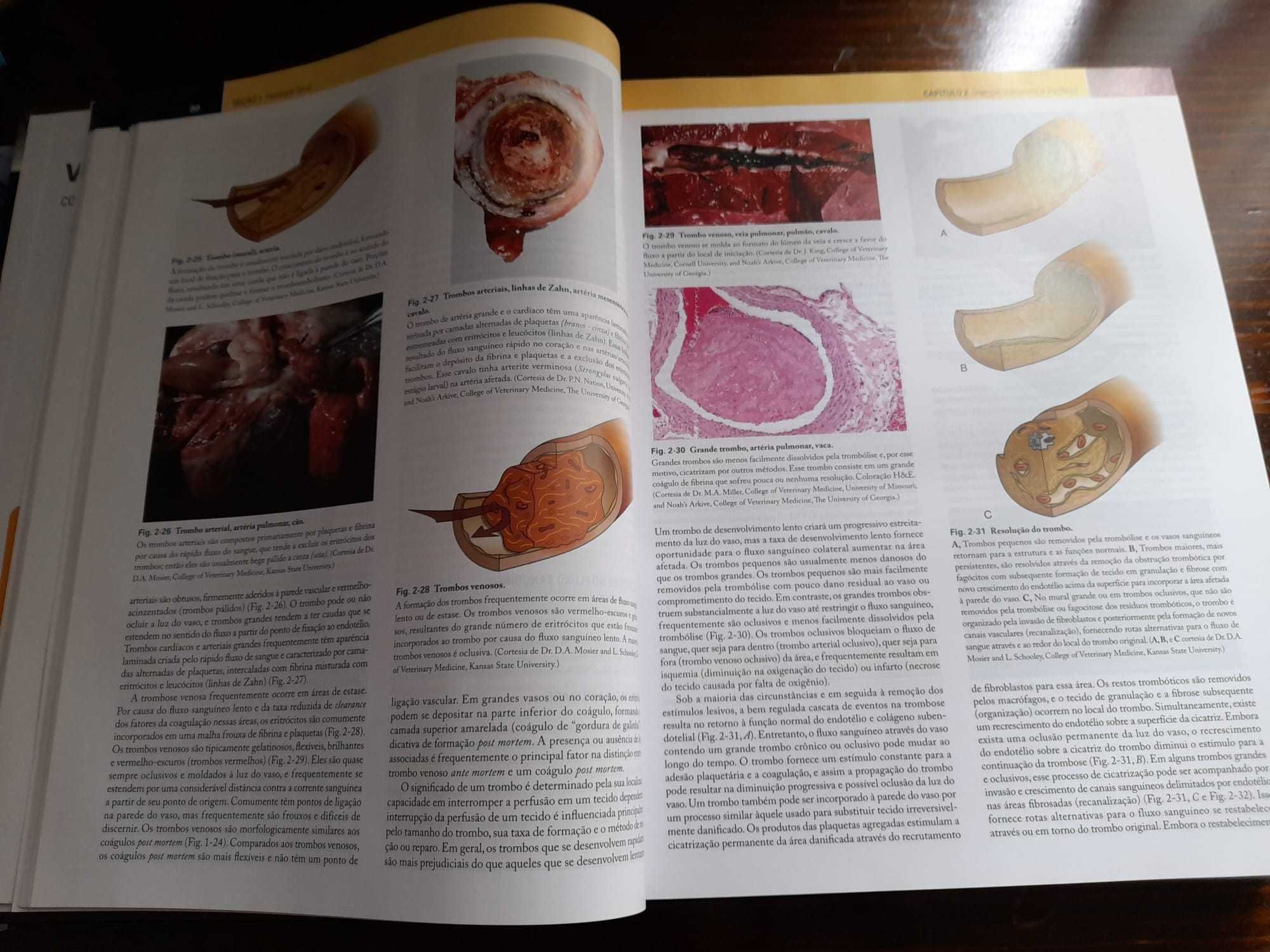 Bases da Patologia em Veterinária. 5ª edição. Zachary / McGavin.