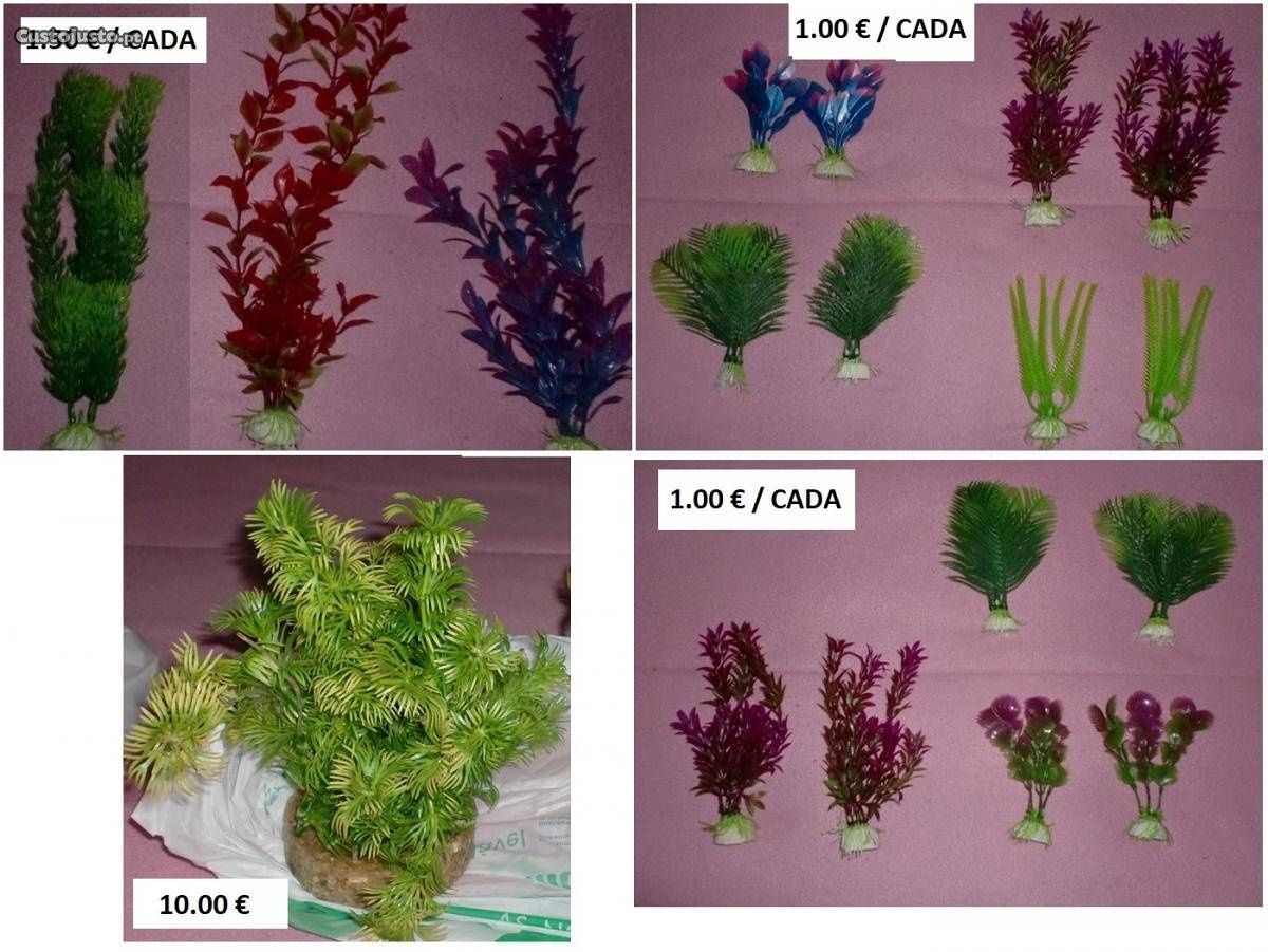 anforas pedras plantas troncos para decoraçao de aquario / terrario