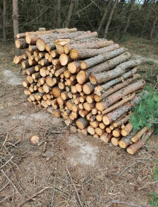 Sprzedam drewno opałowe