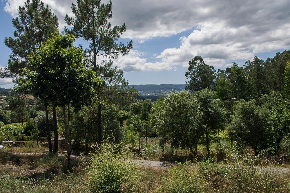 Terreno em Poiares,  
Ponte de Lima -