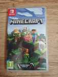 Minecraft Nintendo Switch