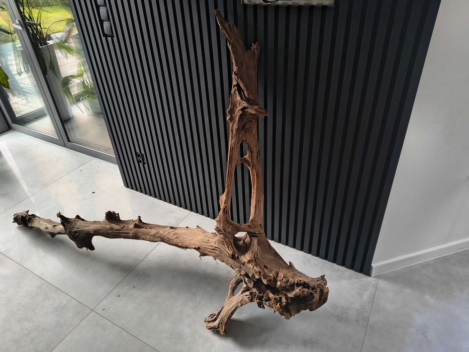Korzeń MANGROWCA XXXL 1008 akwarium terrarium 210x140x40 Unikat Duży