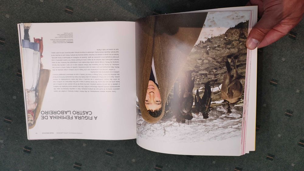 Trajes Regionais Gosto Popular, cores e formas - Cristina L. Duarte