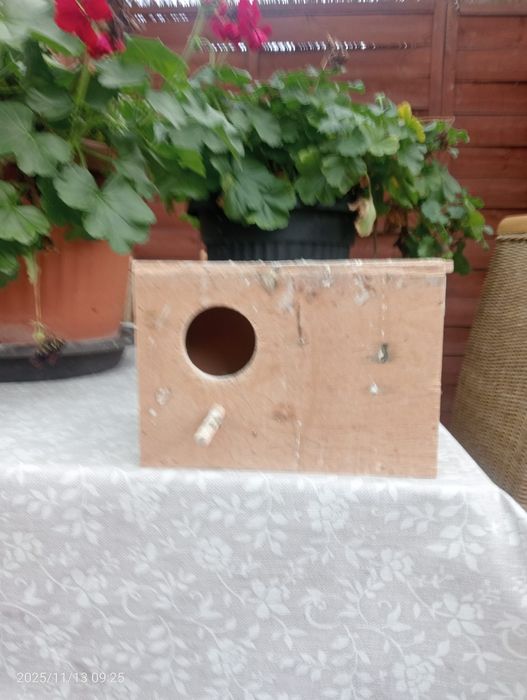 Budki łęgowe do papug