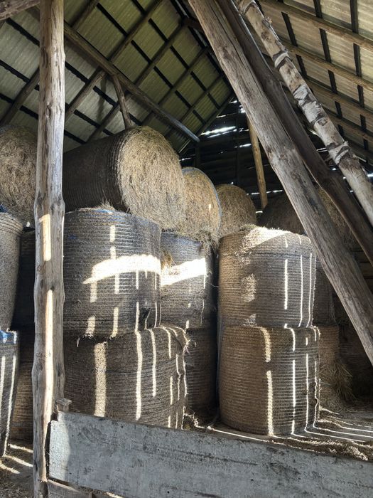 Bele siana ze stodoły