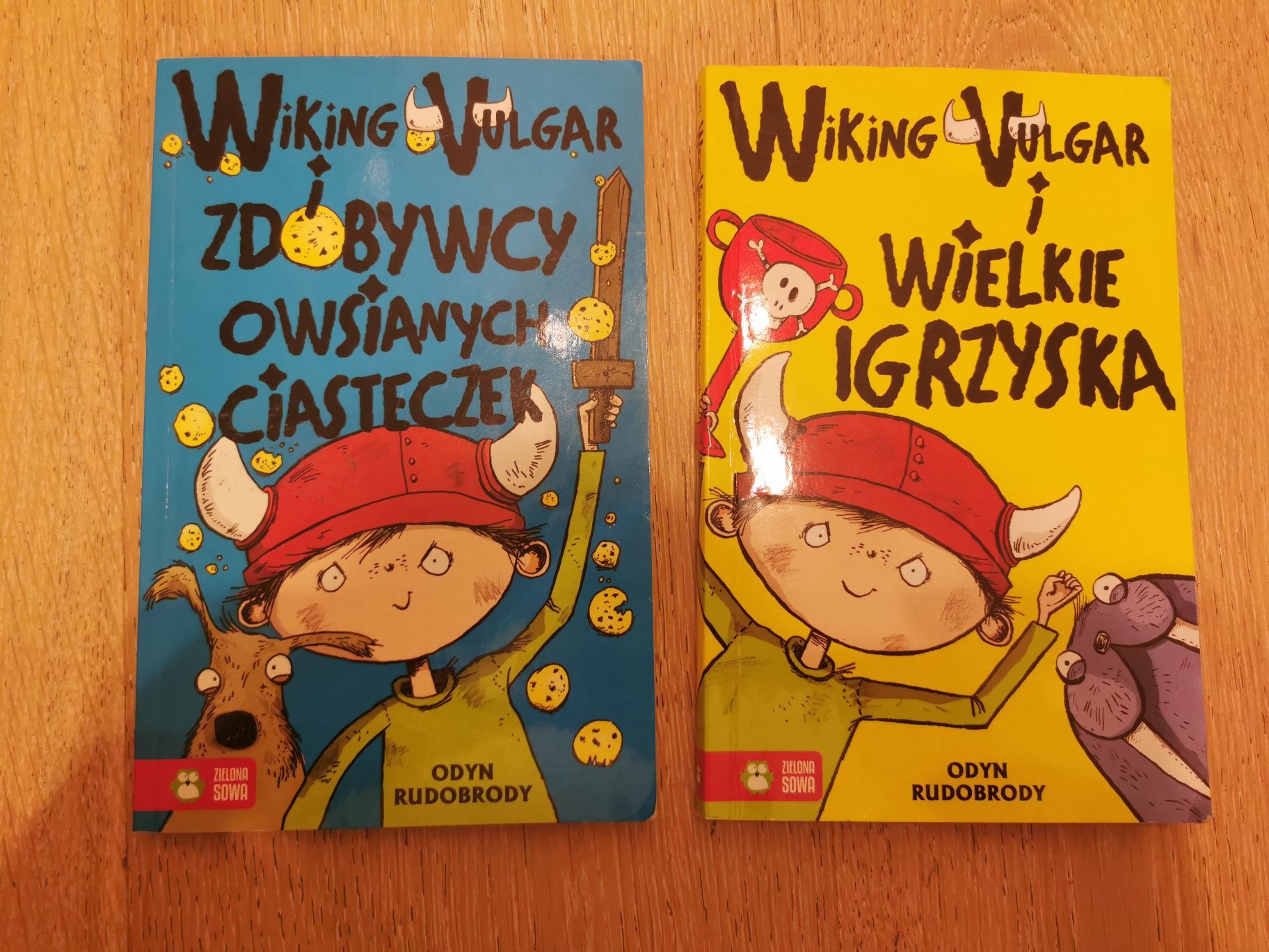 Książka dla dzieci Wiking Vulgar