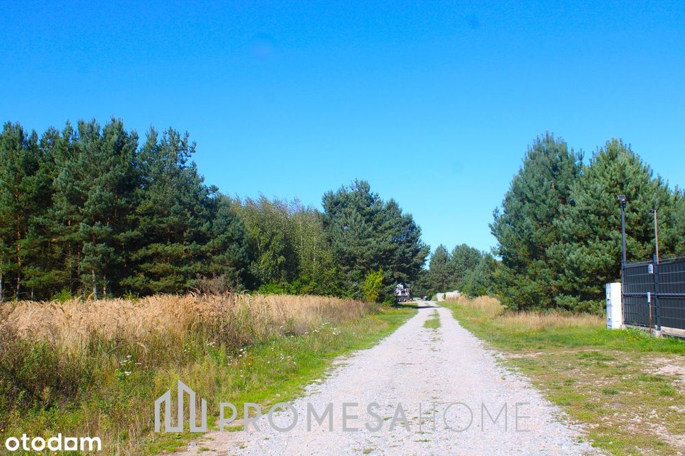 Rościnno/Skoki działka budowlana 1496m2 MPZP las jezioro