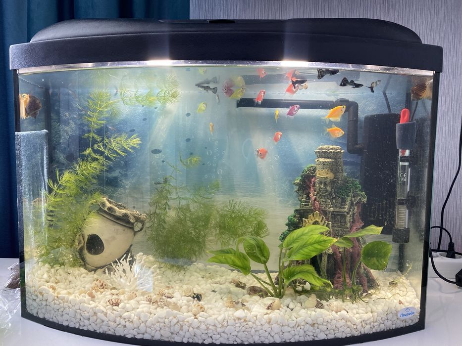 Акваріум 62л новий стан