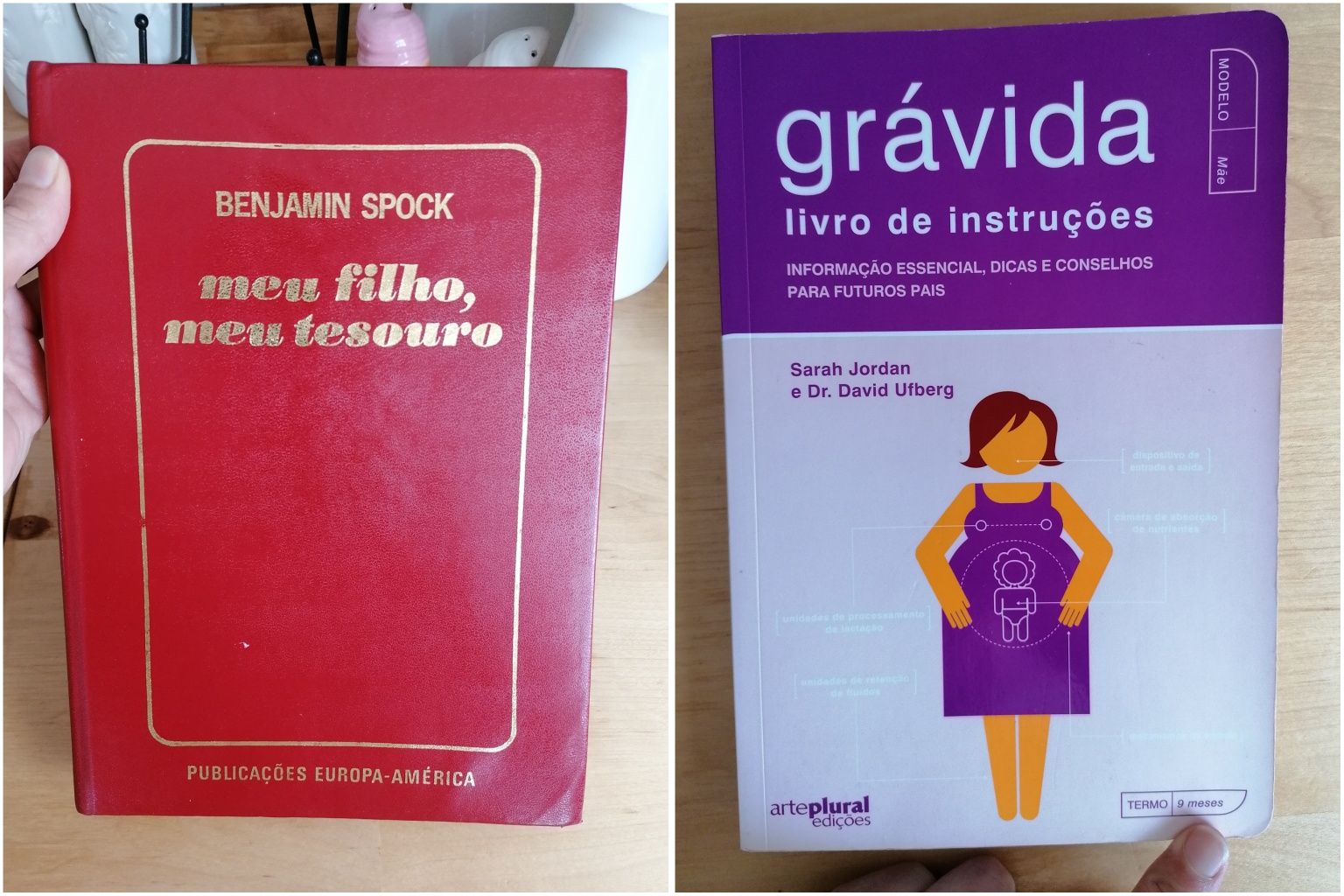 Meu filho, meu tesouro, Benjamin Spock | Grávida, livro instruções