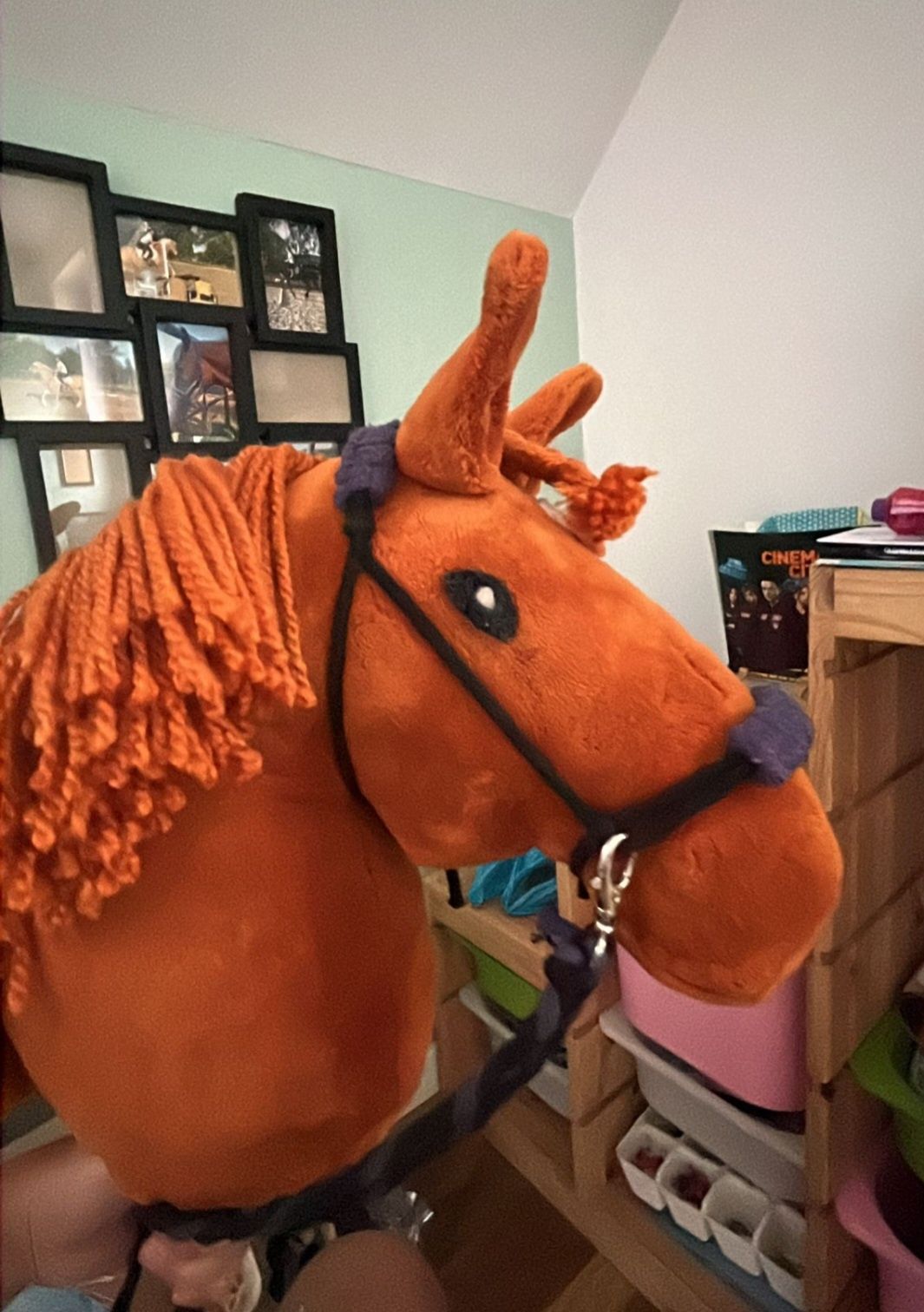 Hobby horse A3/A4