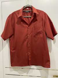 Koszula męska krótki rękaw 40 wzrost 170-176 Rafael rdzawa