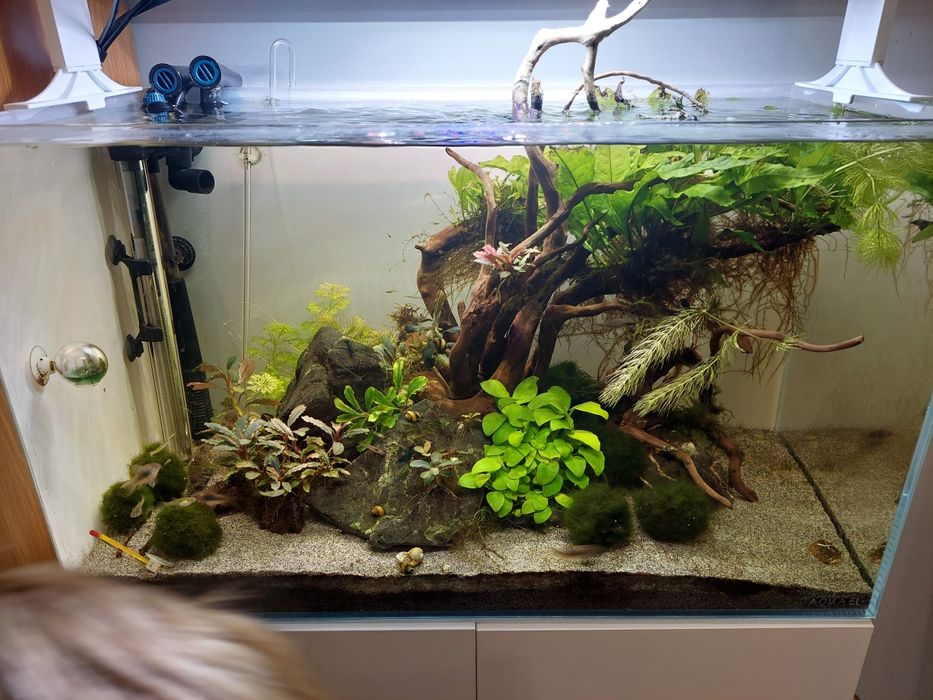 Aquael ultrascape 60 białe z szafką