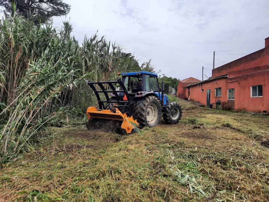 Limpeza de terrenos/Construção/Escavações