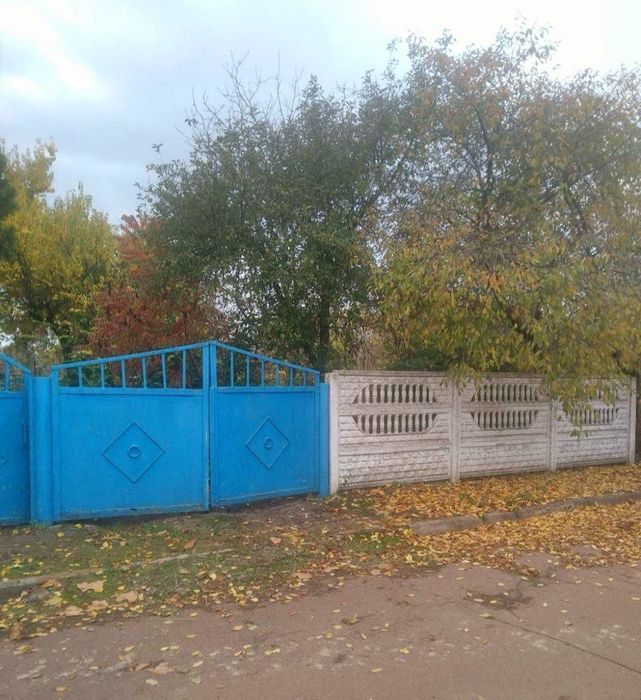 Продам будинок в селі Карпилівка