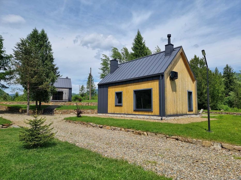 Продаж два будинки 116.5 м.кв. 24 сот. вул. Шевченка 164 с. Гребенів
