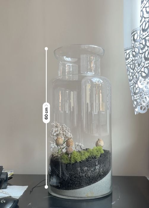 Terrarium, slój z mchem - ok 60cm
