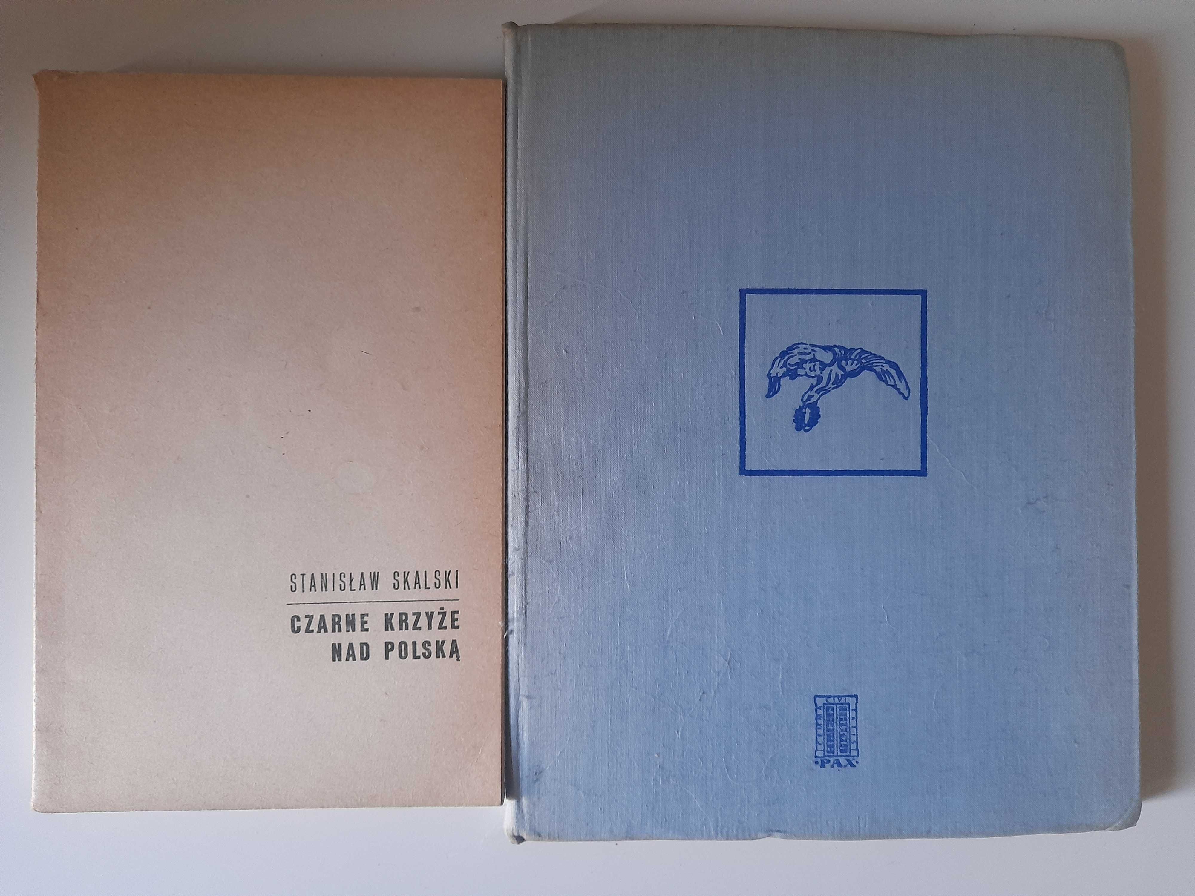 Polskie dywizjony lotnicze w Wielkiej Brytanii 1940-45 Król+2 książki