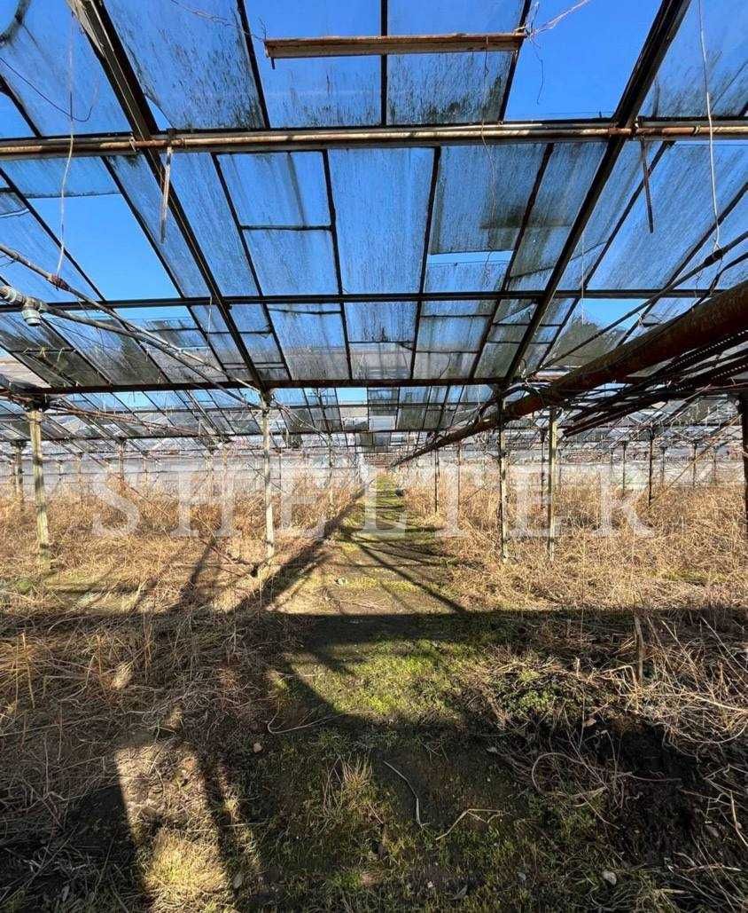 Оренда теплиці ( парники ) в с. Побережжя