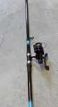 Cana de pesca + carreto