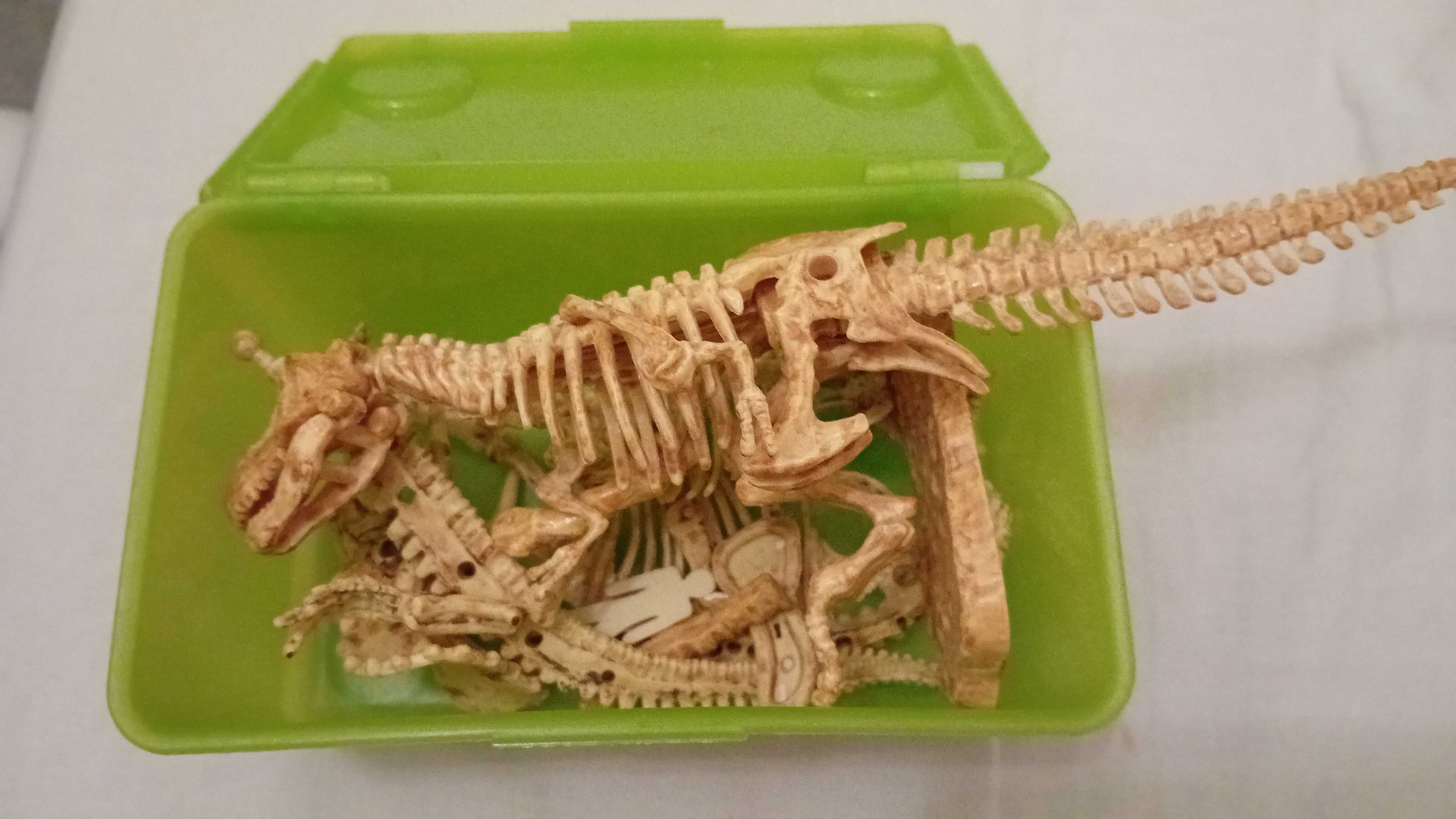 Dinossauros esqueletos