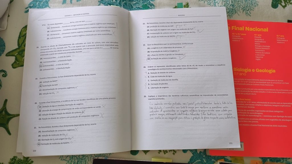 PACK Estudo Exames 11⁰ Ano