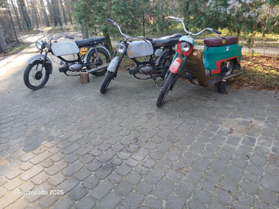 Jawki jawy Mustang Kaczka