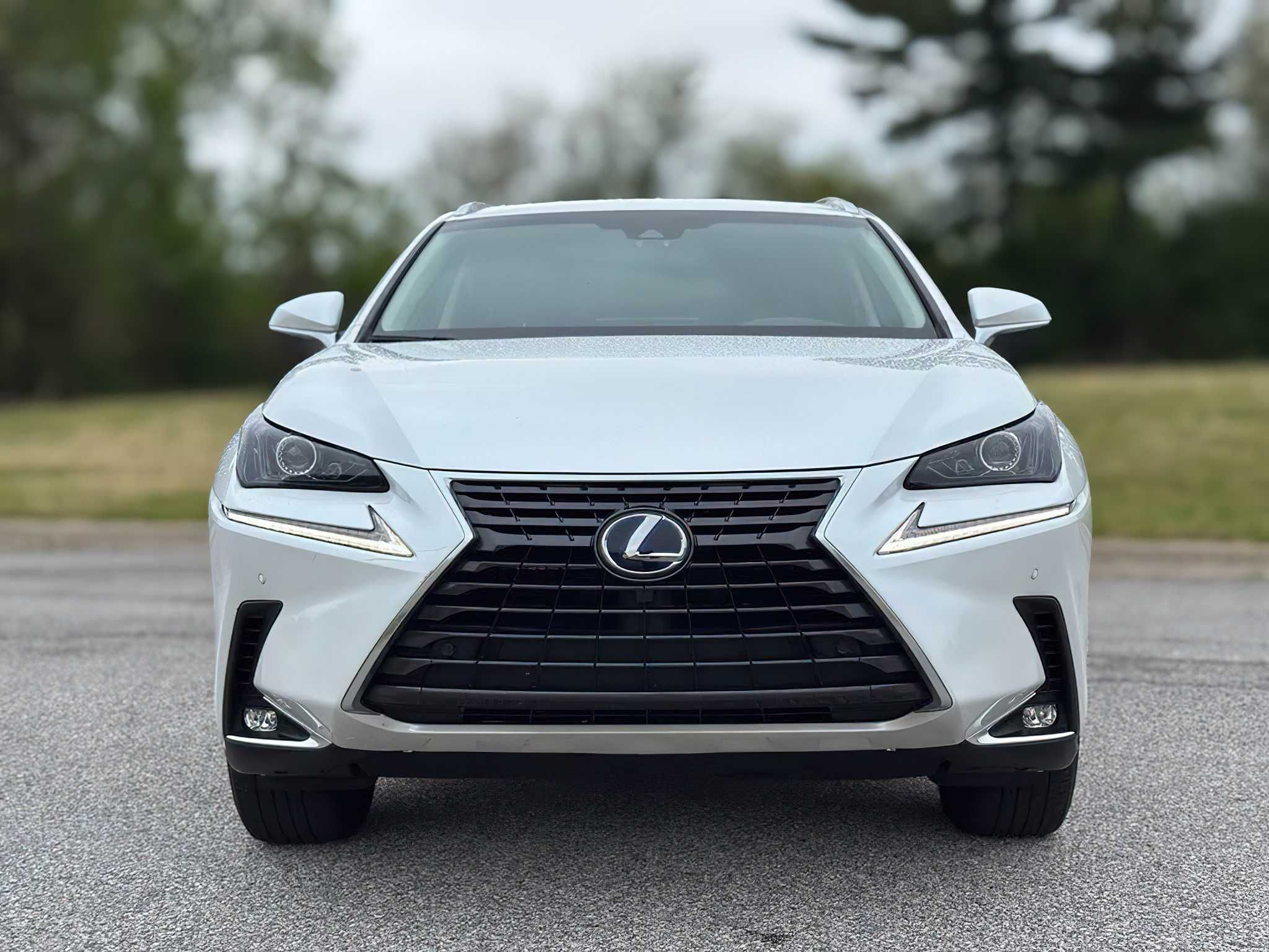 Lexus NX 300h 2019