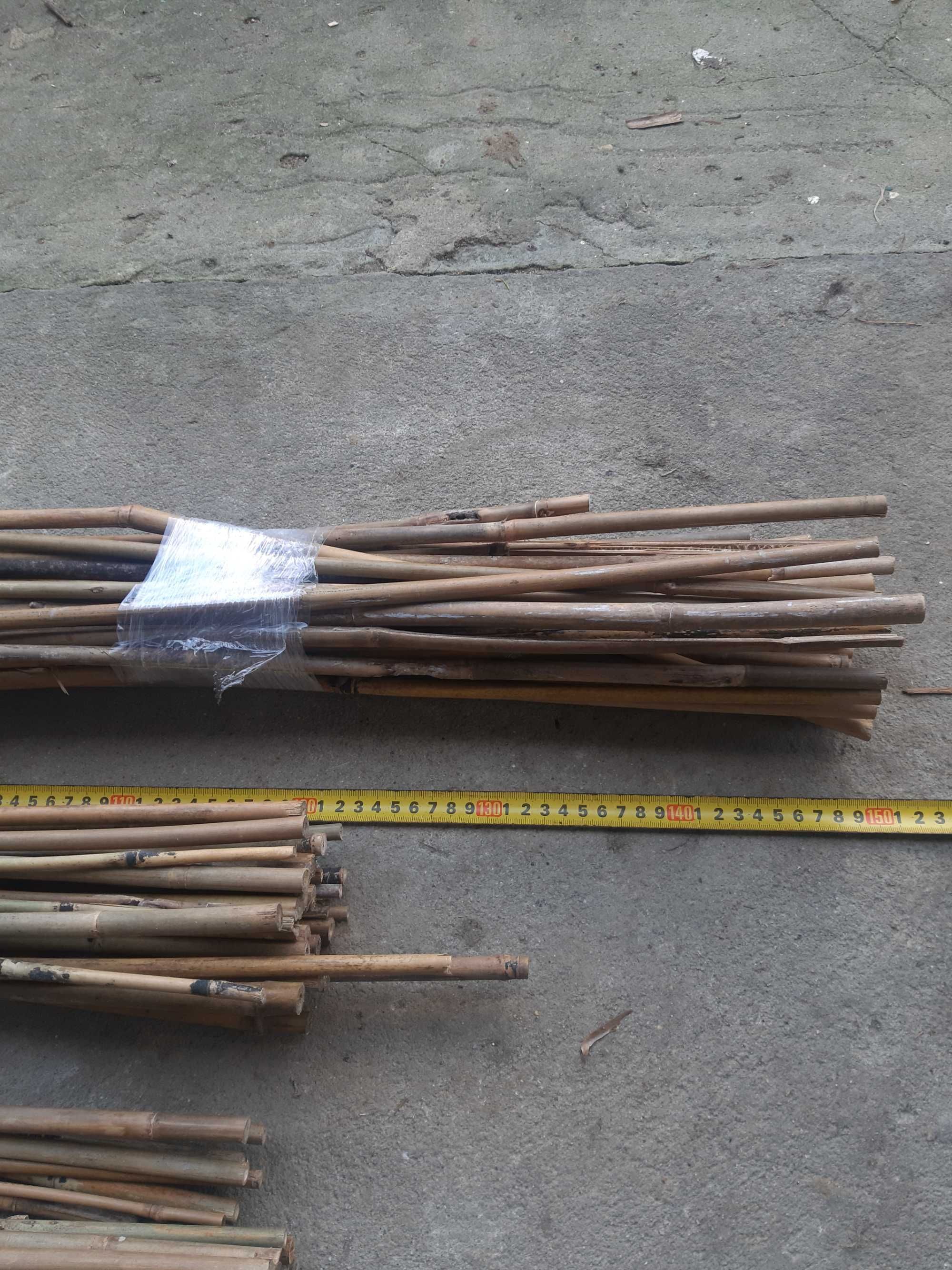 Tyczki bambusowe, tyczki pcv 60,120
