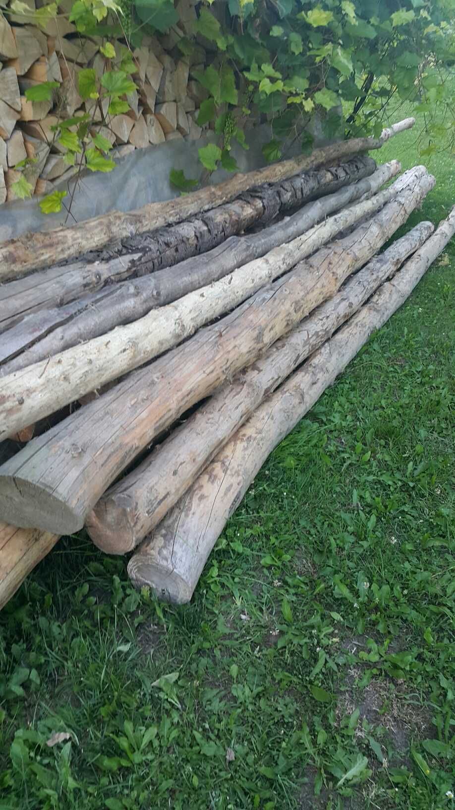 Bele  bale świerkowe okorowane