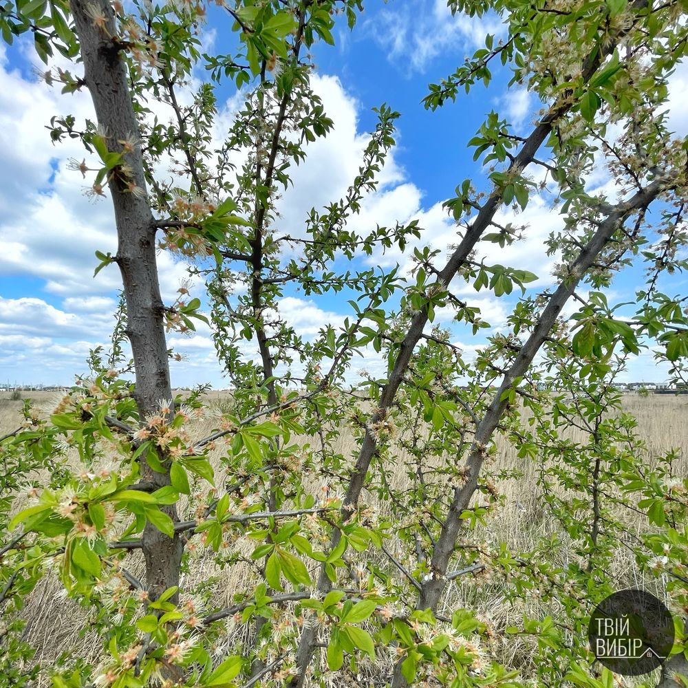 Продаж сонячної земельної ділянки під забудову біля  ЖК Львівський