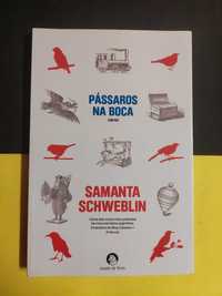 Samanta Schweblin - Pássaros na boca