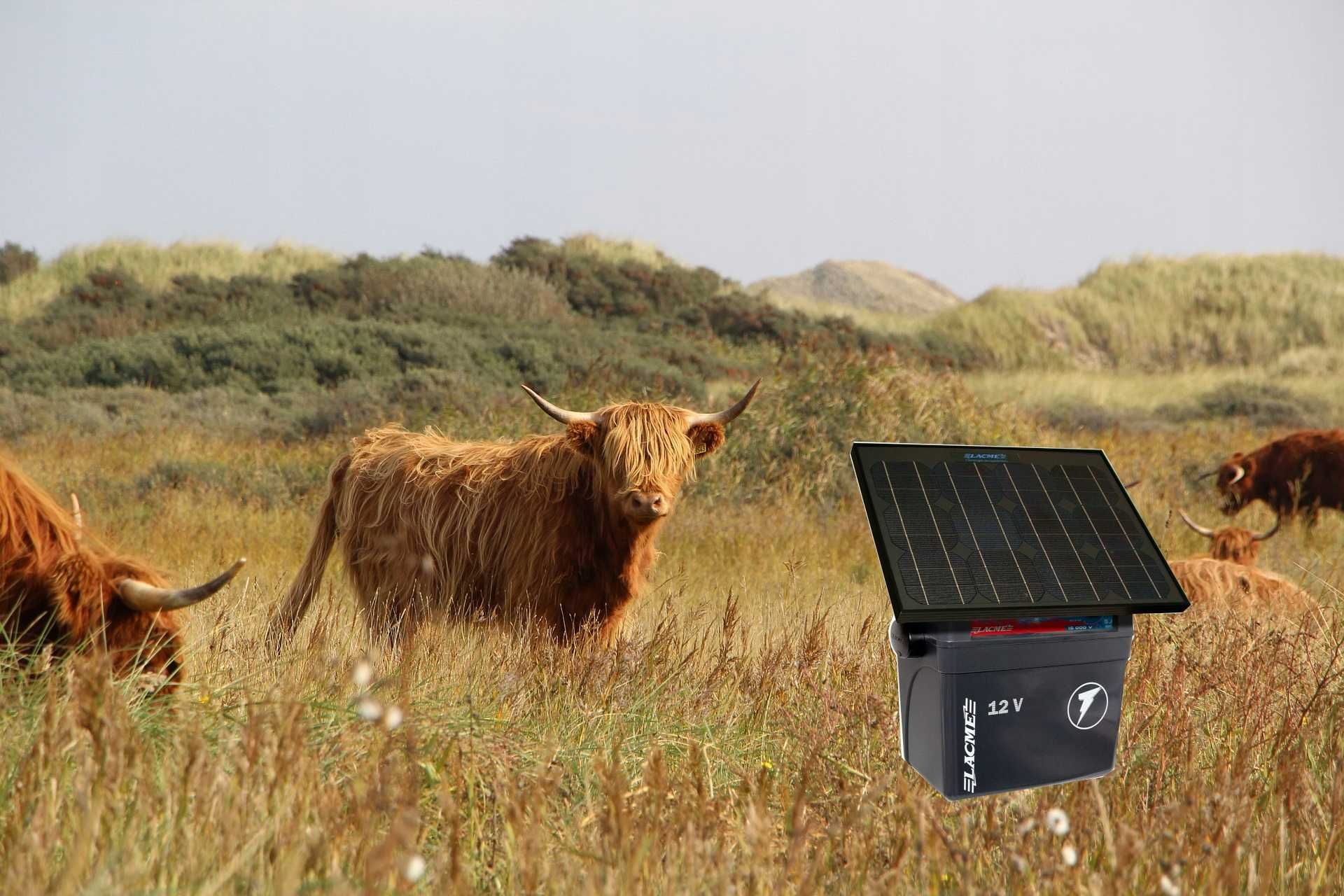 Pastuch elektryczny na bydło SOLARNY elektryzator 6J panel 33W