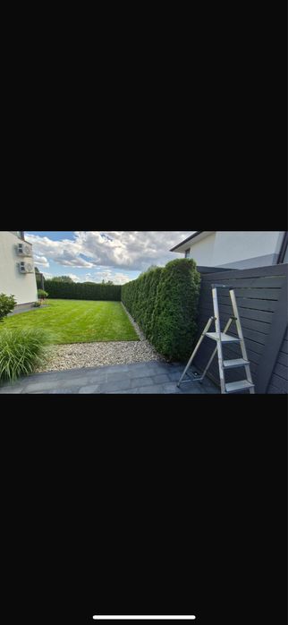 Czyszczenie działek, porządkowanie, koszenie trawy, pielegnacja ogrodu