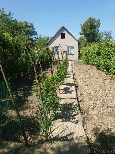 Продаж дача біля Львова , земля будинок , з фруктовим садом