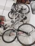 Bicicleta Pasteleira Orbita