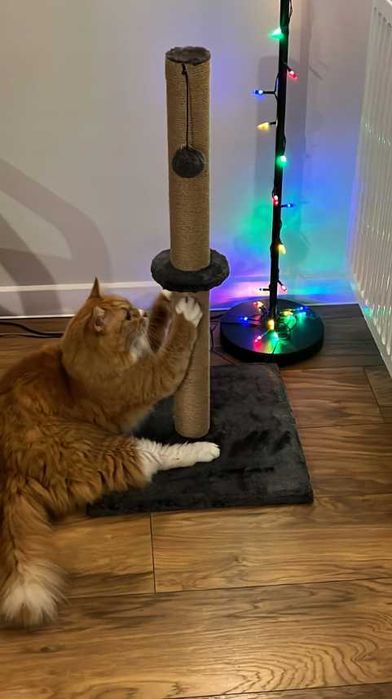 Drapak dla kota *NOWY* 73CM słupek do drapania sizal stabilny premium