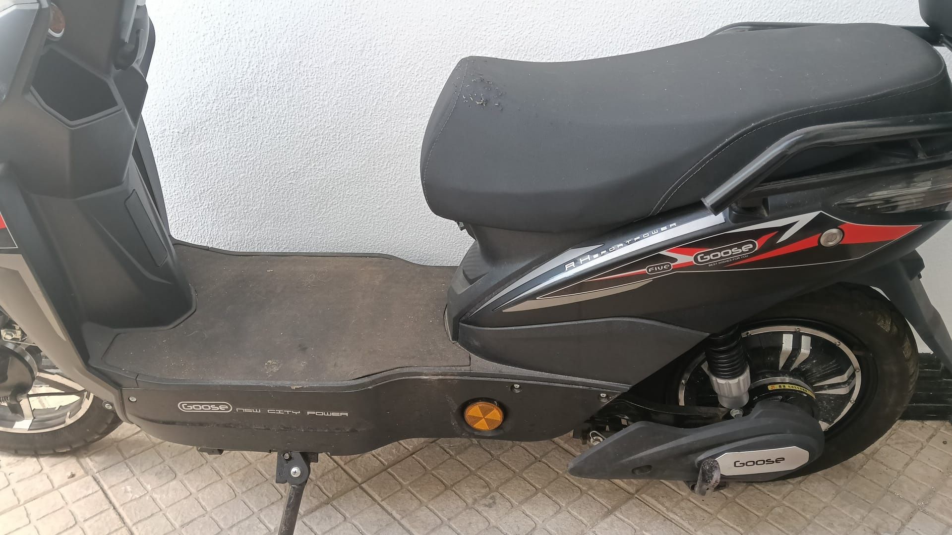 Mota elétrica Goose