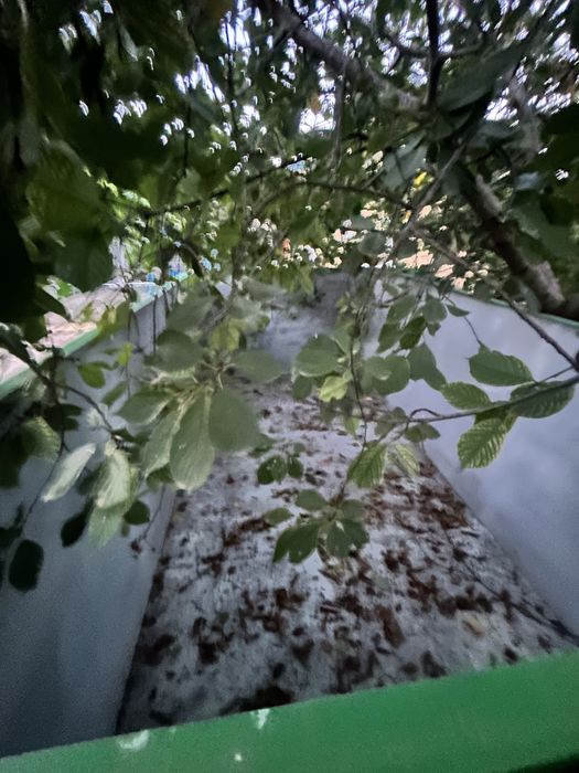 Оприскувач, розкидач добрив, бочка, прицеп