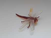Bonecos pvc (animais)
