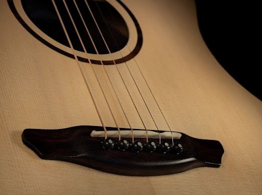 Gitara akustyczna Palisander Brazylijski