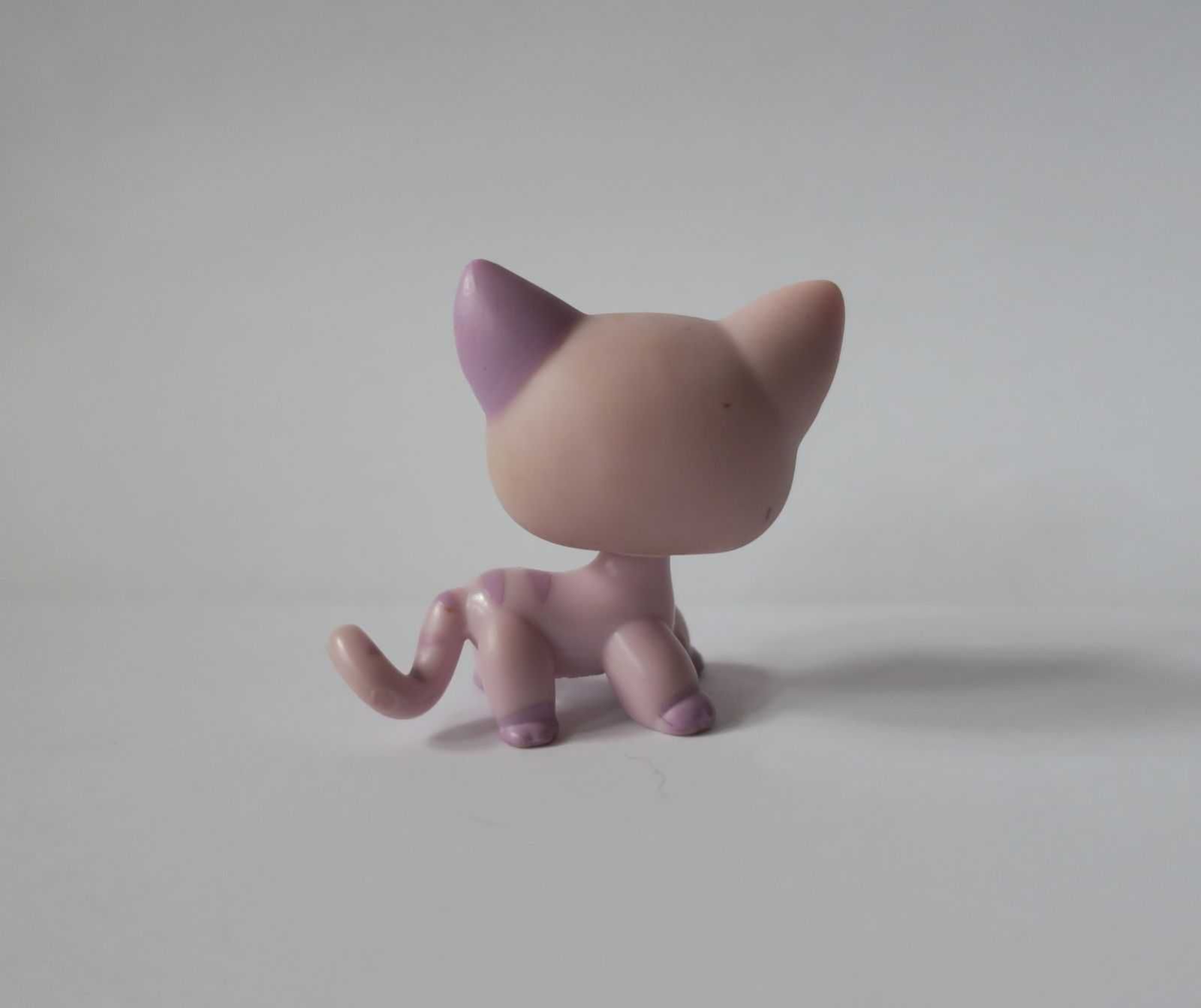 Kot shorthair littlest pet shop kotek