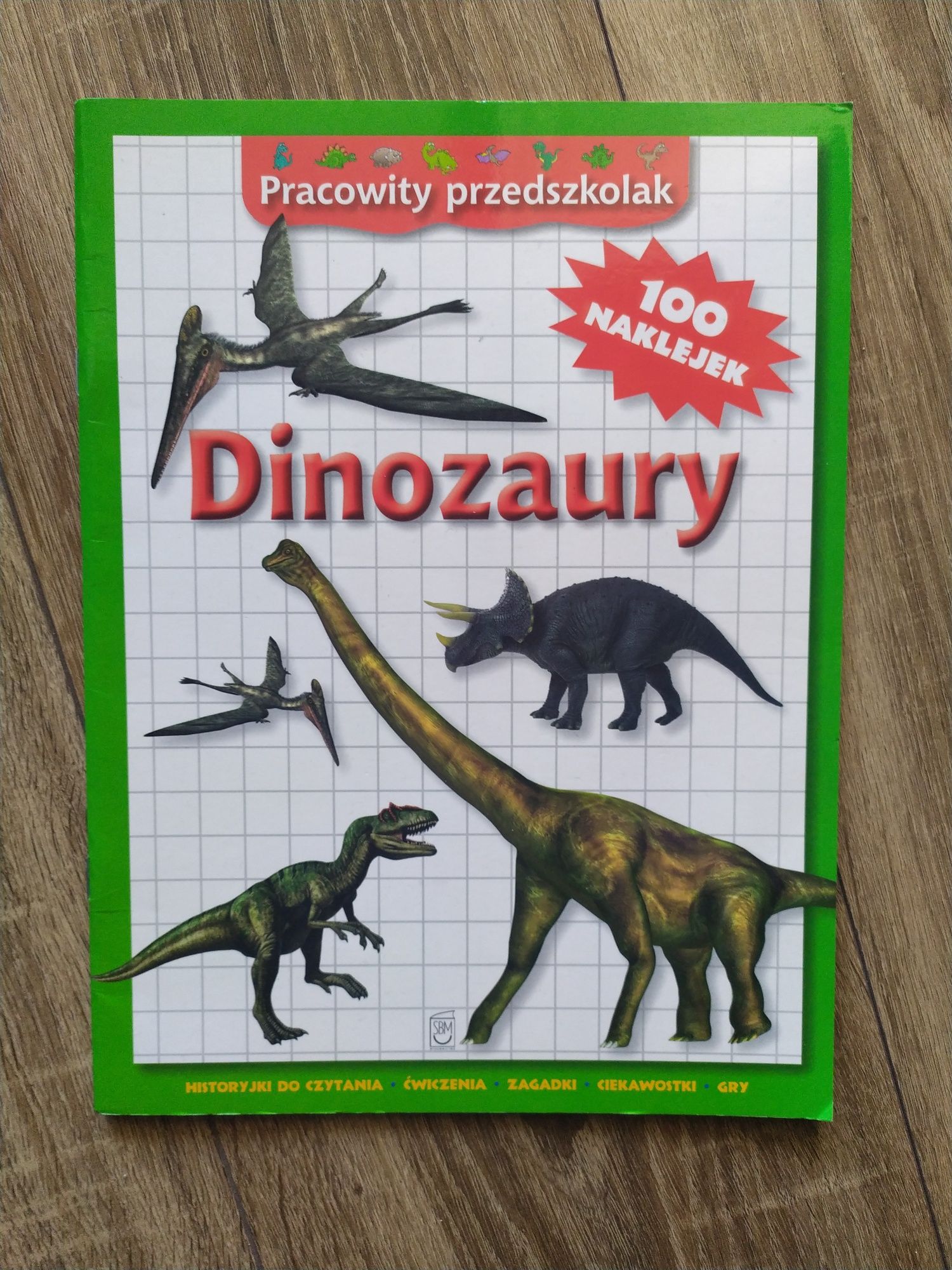 Dinozaury pracowity przedszkolak książka kolorowanka