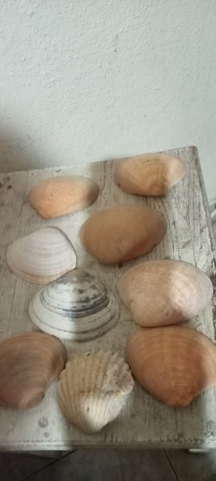 Artigos para desocupar