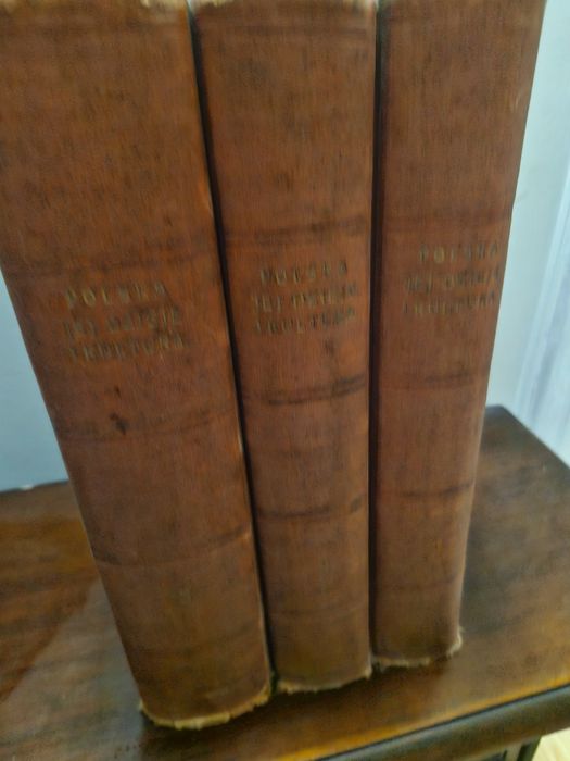 Polska jej dzieje I kultura 3 tomy Trzaska, Evert I Michalski z 1927 r