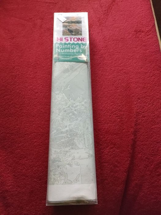 Obrazek do malowania po numerach