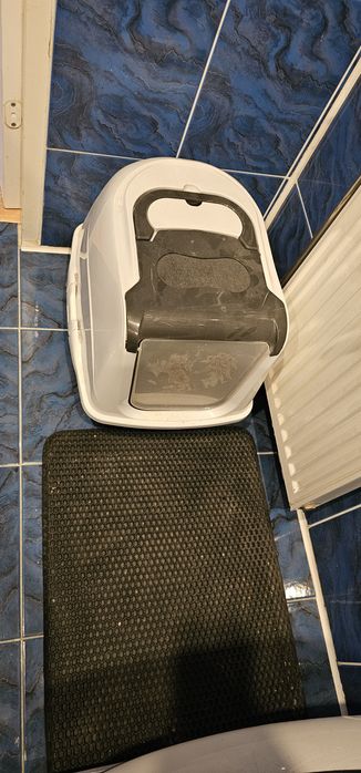 Cicha kotką i nie rysuje mebli