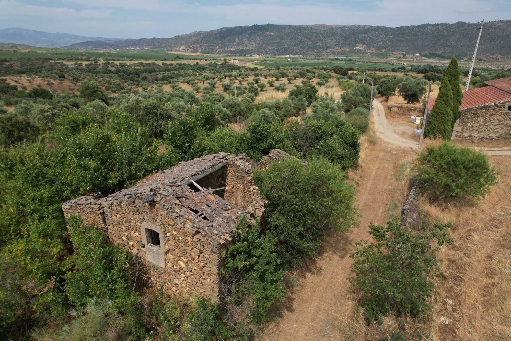 Terreno com 8 hectares, 2 Casas para reconstruir + poço e Olival