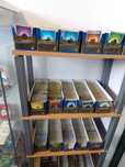 Lote de 100 cartas Pokémon TCG